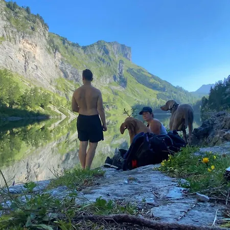 Dachstein Goisern Holiday home