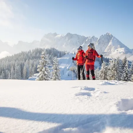 Dachstein Goisern Bad Goisern