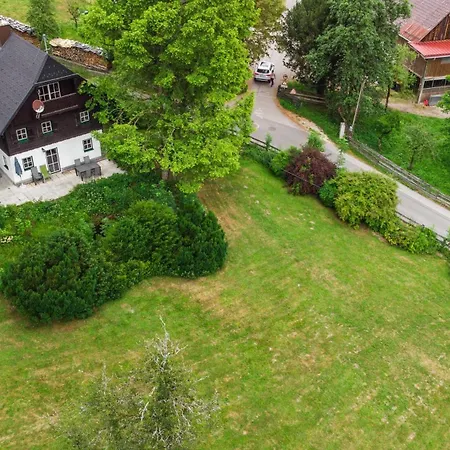 Holiday home Dachstein Goisern *