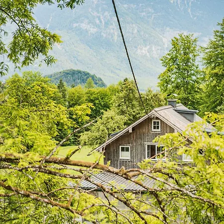 Dachstein Goisern * Bad Goisern